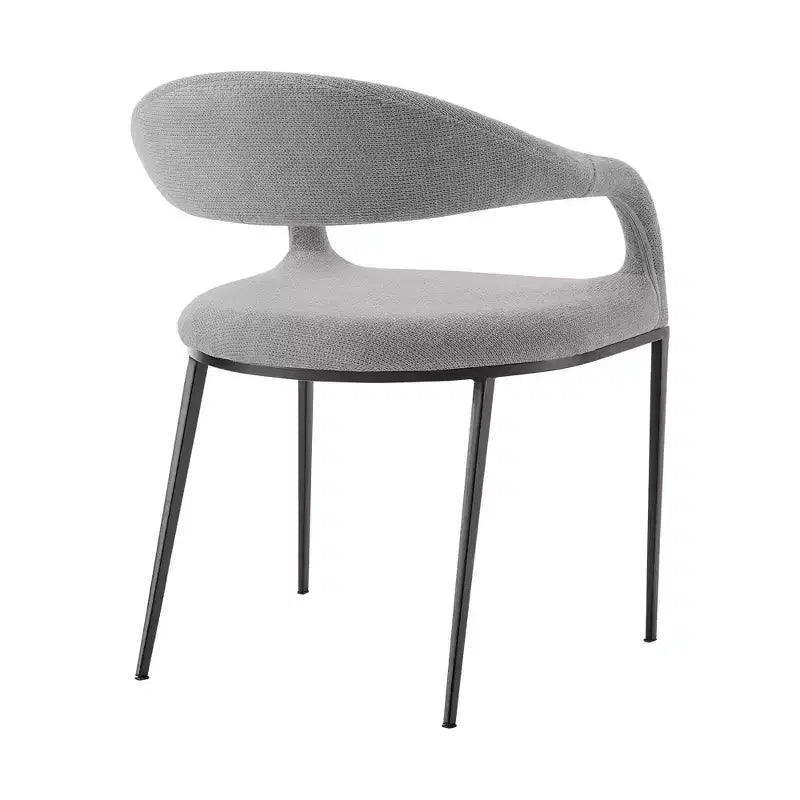Lot de 2 chaises de salle à manger avec accoudoirs en fer et tissu, 113 kg, dossier bas